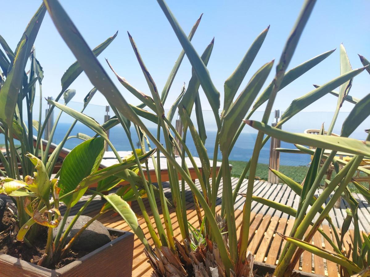 Penthouse La Palmita - Tazacorte, La Palma المظهر الخارجي الصورة